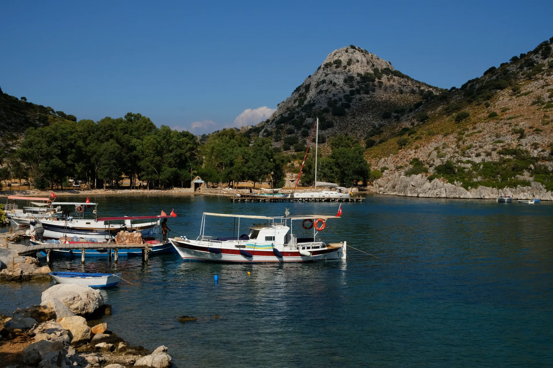 Serce Port